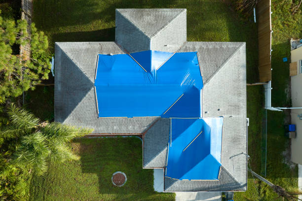 Best Roof Moss and Algae Removal  in Williamsburg, OH