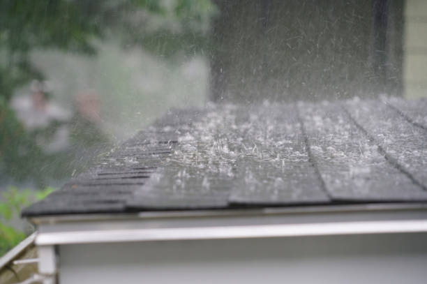 Best Roof Coating and Sealing  in Williamsburg, OH