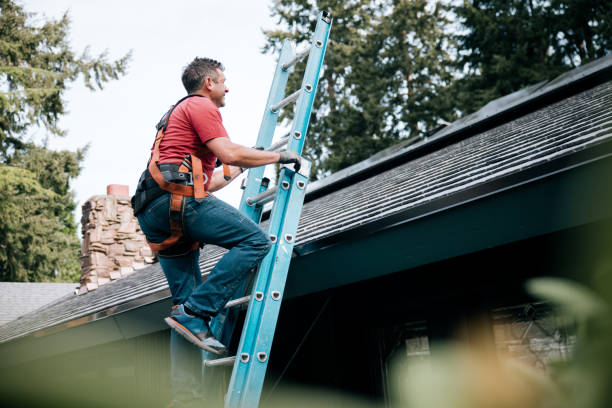Best Storm Damage Roof Repair  in Williamsburg, OH