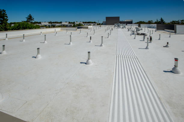 Best Metal Roofing Installation  in Williamsburg, OH