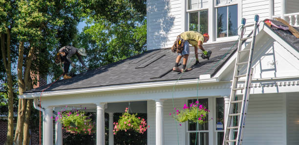 Best Storm Damage Roof Repair  in Williamsburg, OH
